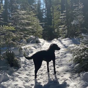 Meet your Posher, Gaby